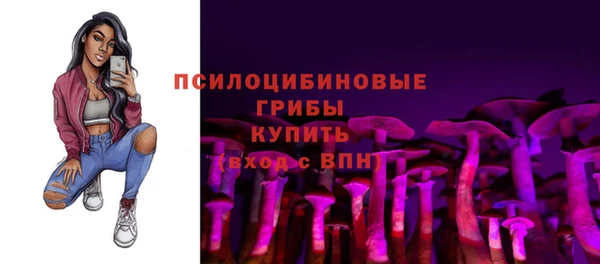 мескалин Надым